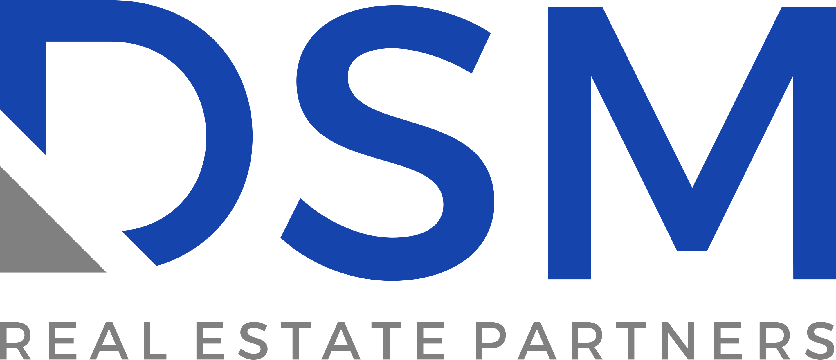 DSM Real Estate Partners